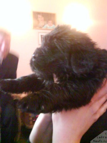 Фотография № 150860