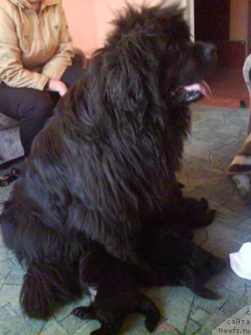 Фотография № 150861