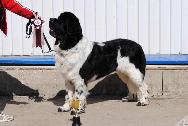 Фотография № 150892