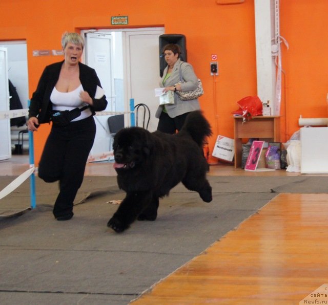 Фотография № 150893