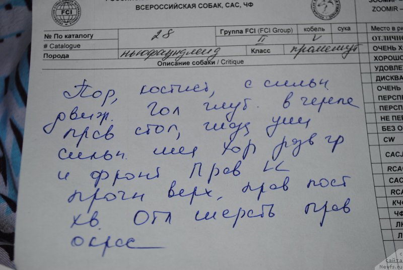 Фотография № 150895