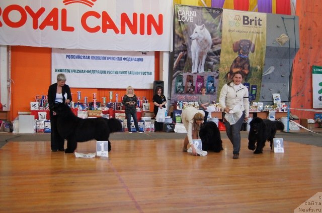 Фотография № 150898