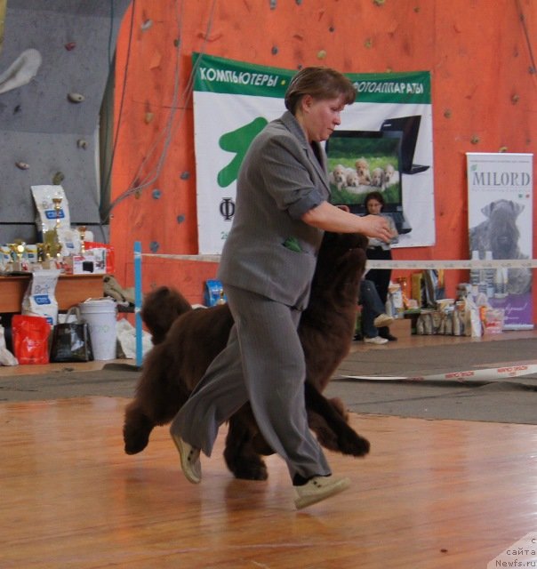 Фотография № 150899