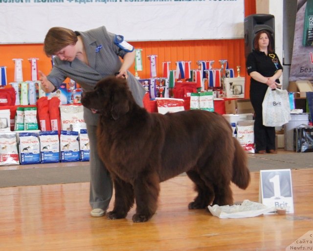 Фотография № 150900