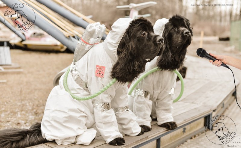 Фотография № 150902