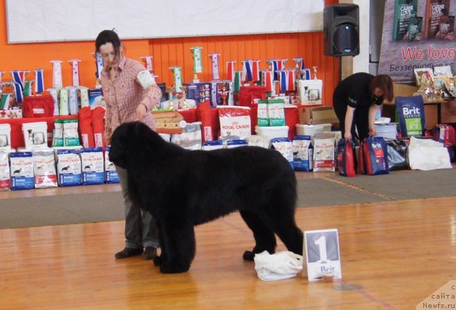 Фотография № 150905