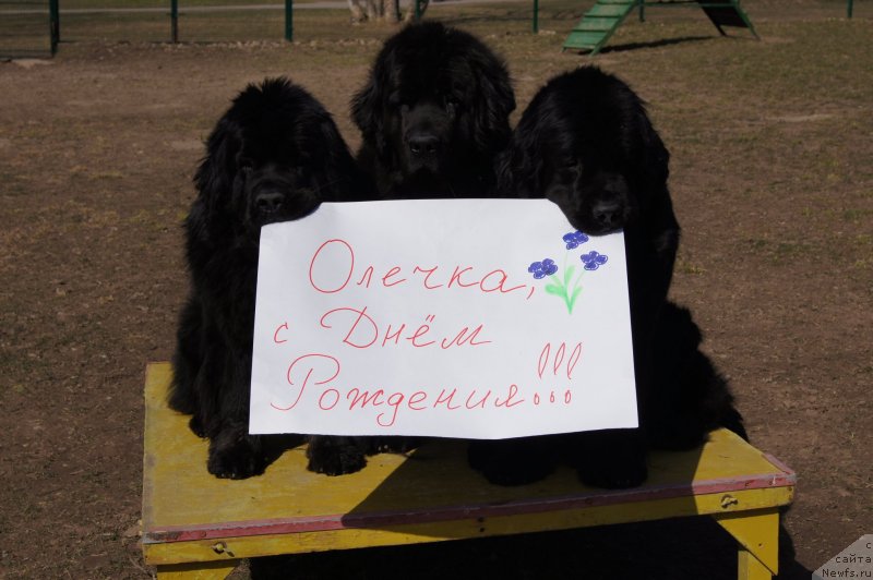 Фотография № 150927