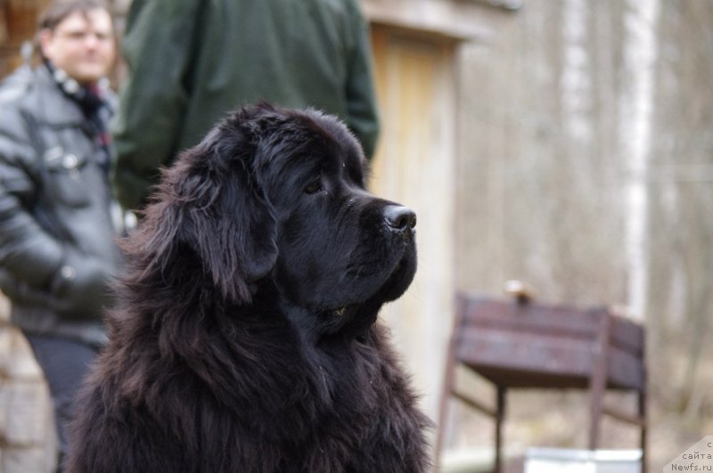 Фотография № 150935