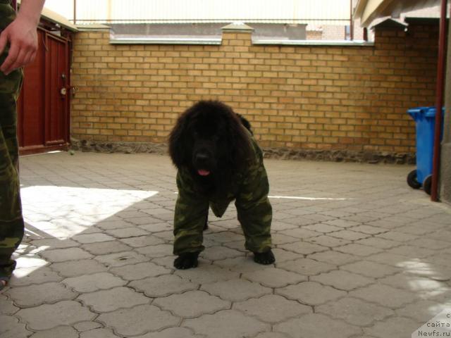 Фотография № 15100