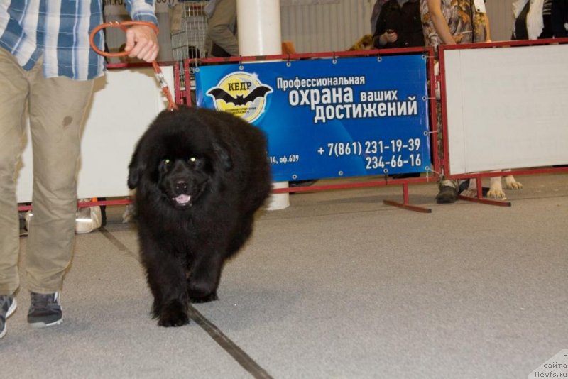 Фото: Ниагара Звёздная Пыль