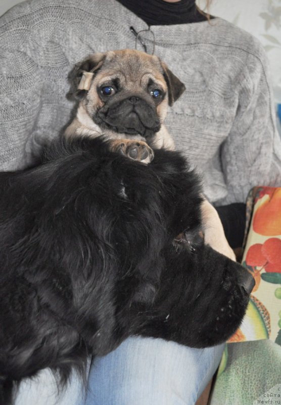 Фотография № 151081