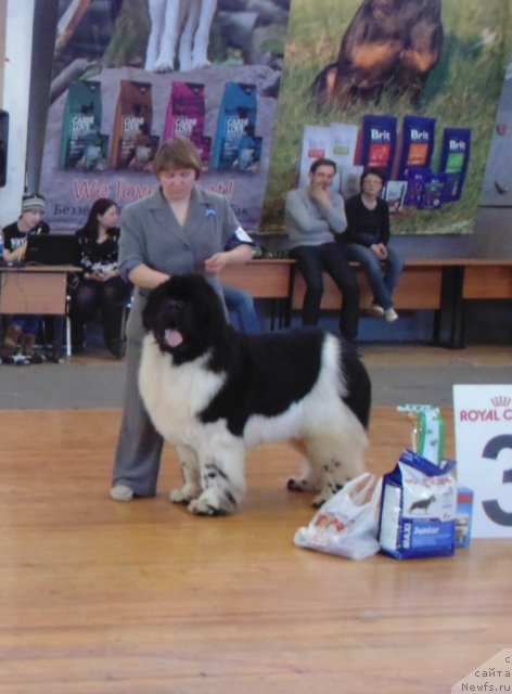 Фотография № 151082