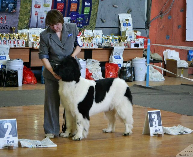 Фотография № 151087