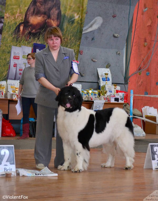 Фотография № 151088