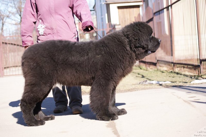 Фотография № 151095