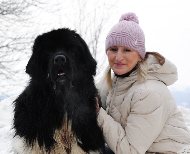 Фото: ньюфаундленд Plushevaya Panda Ferrero Rond Noir (Плюшевая Панда Ферреро Ронд Нуар), Kseniya Gorodnicheva (Ксения Городничева)