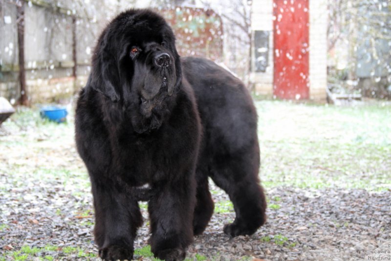 Фотография № 151152