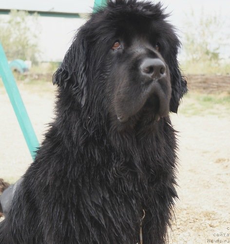 Фотография № 151179