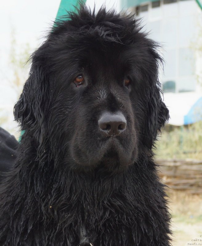 Фотография № 151181