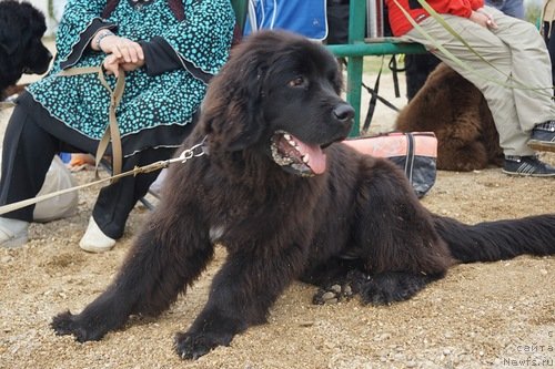 Фотография № 151183