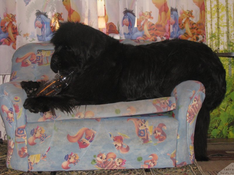 Фотография № 151199