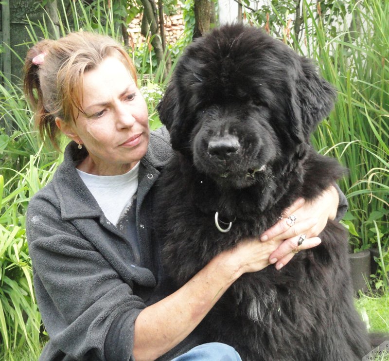 Фотография № 151215