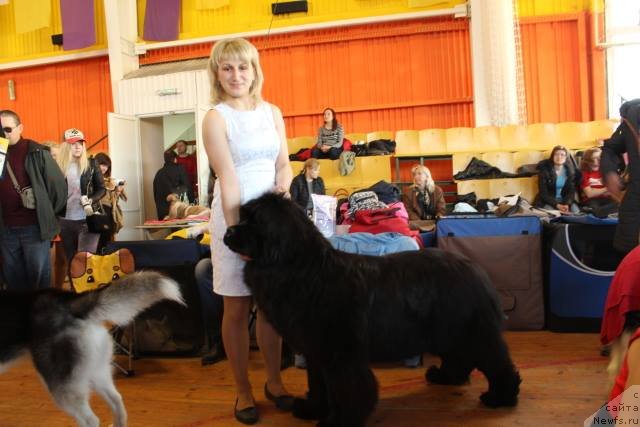 Фотография № 151218