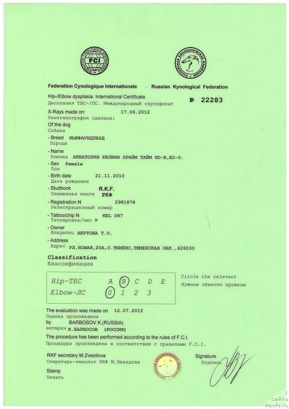 Фотография № 151250