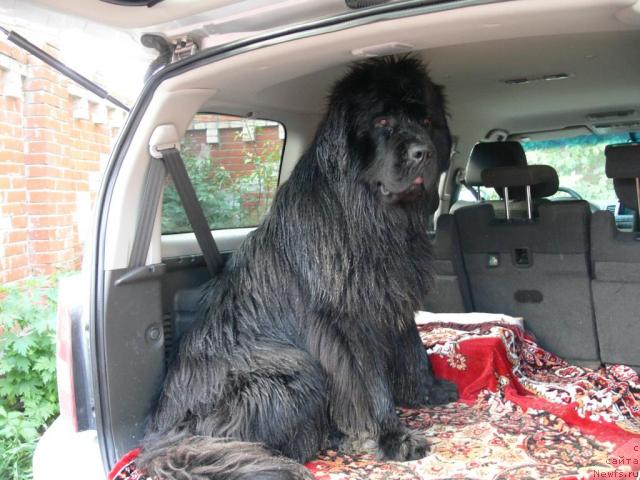 Фотография № 15127