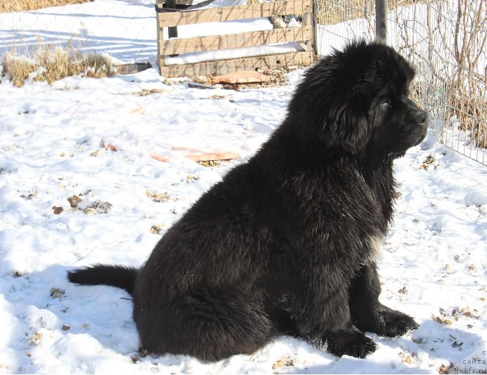 Фотография № 151305