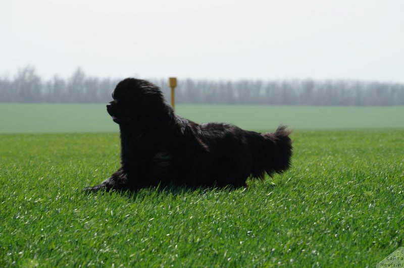 Фотография № 151355