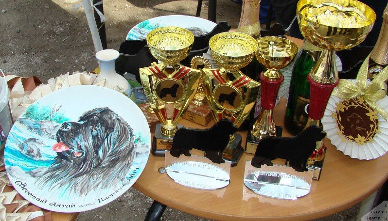 Фотография № 151378