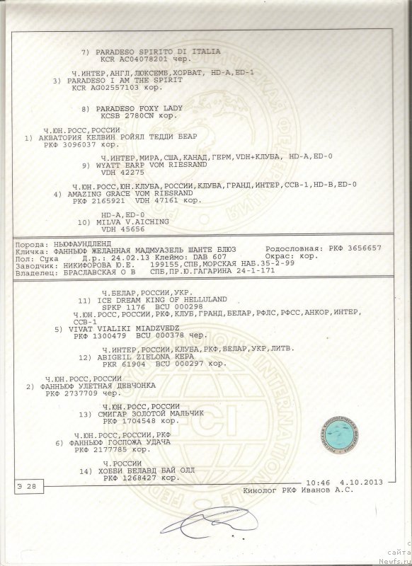Фото: Родословная  [d12531]