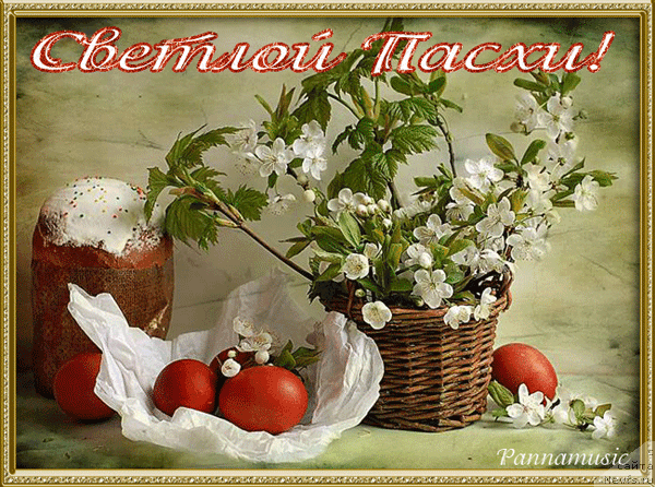 Фотография № 151412