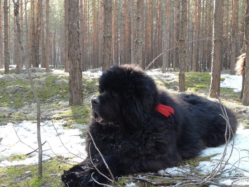 Фотография № 151456