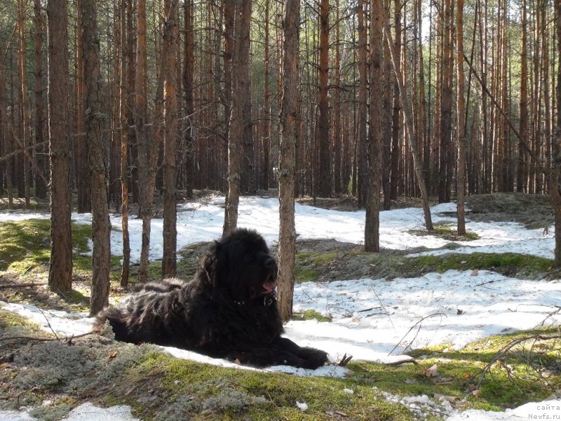 Фотография № 151457