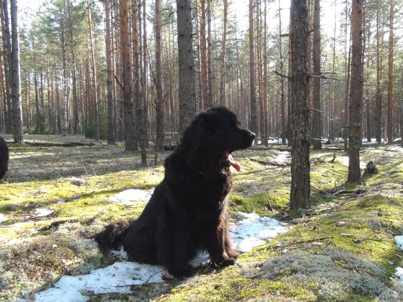 Фотография № 151458