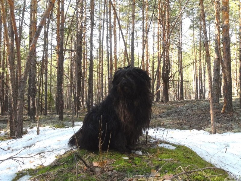 Фотография № 151461