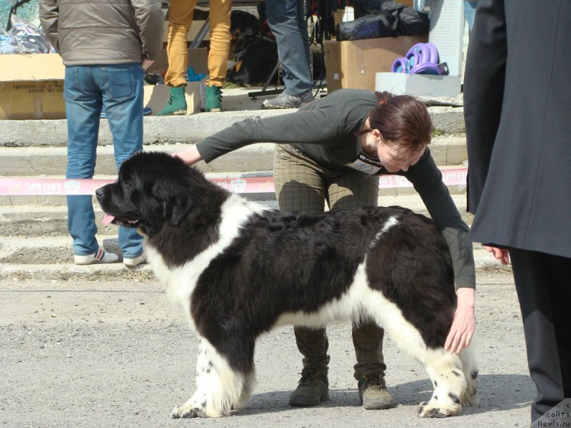 Фотография № 151465