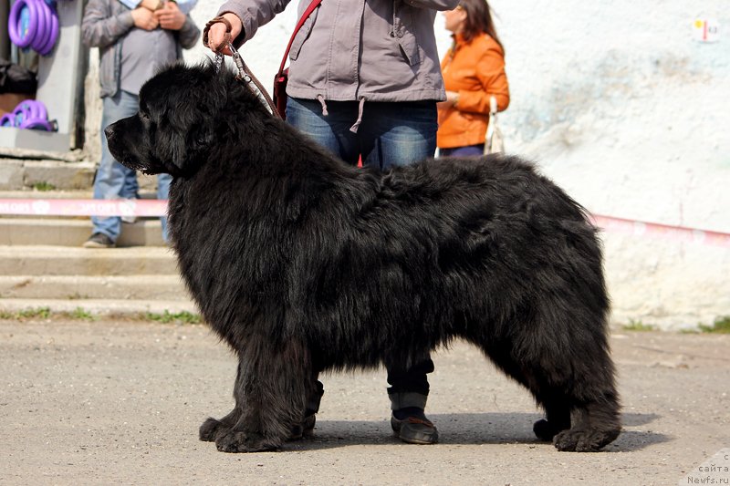 Фото: ФИАМЕТТАХАУЗ РАС АЛЬХАБИ