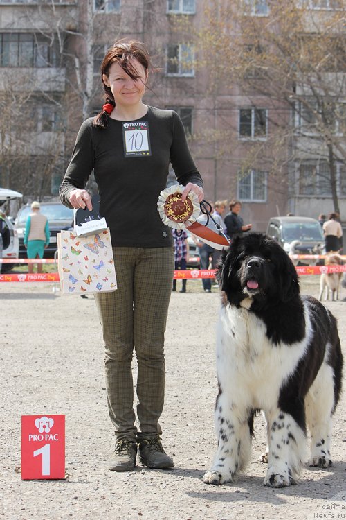 Фотография № 151478