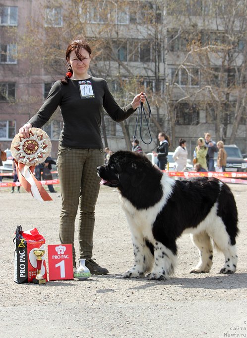 Фотография № 151479