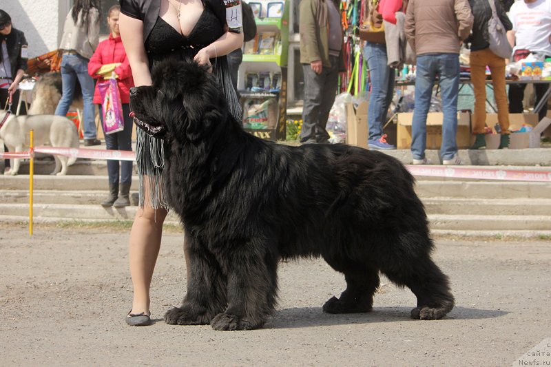 Фотография № 151483