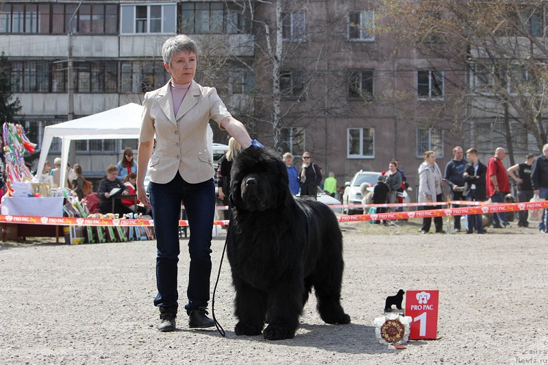 Фотография № 151485