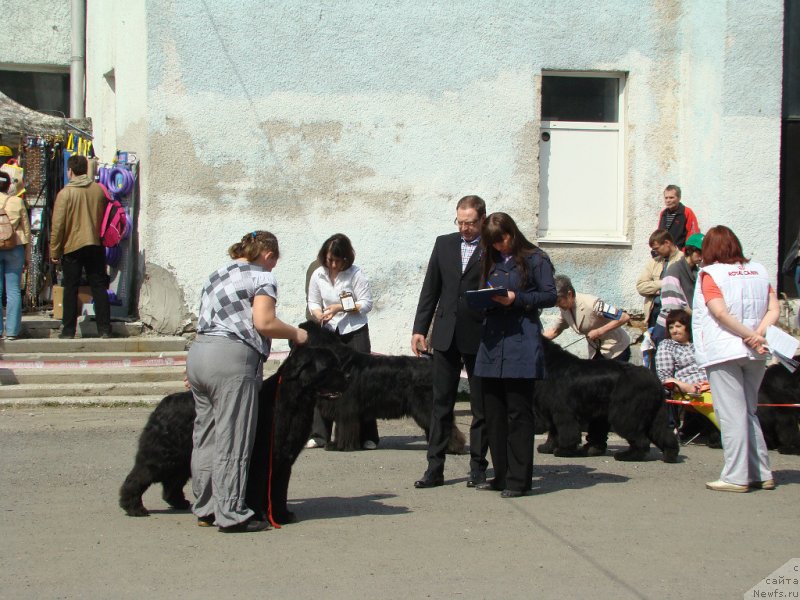 Фотография № 151516