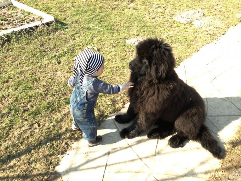 Фотография № 151522