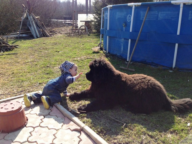 Фотография № 151524