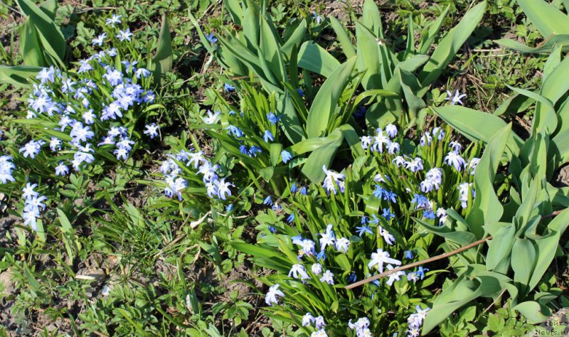 Фотография № 151532