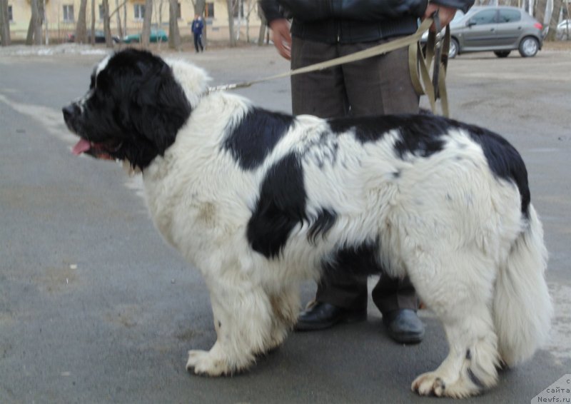 Фотография № 151549