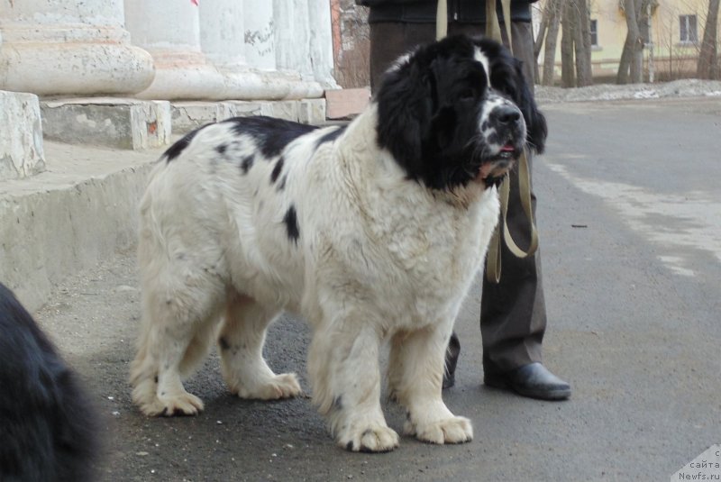 Фотография № 151550